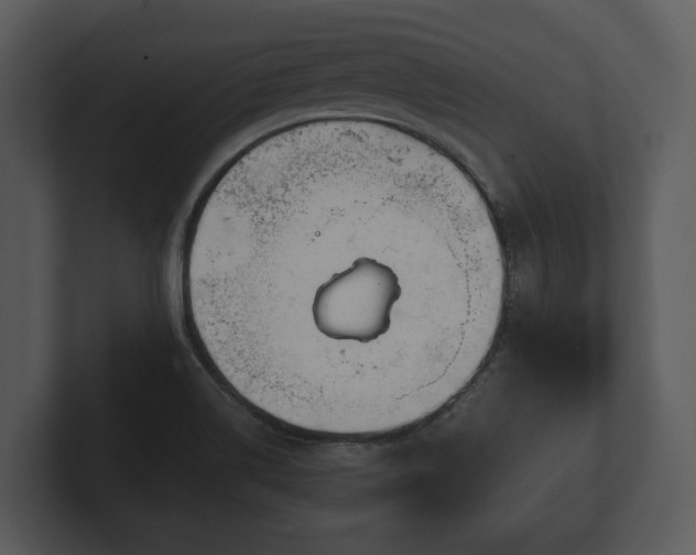 X0000103151514200808291419