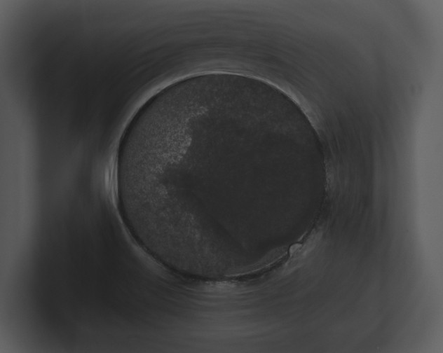 X0000103151515200808291419