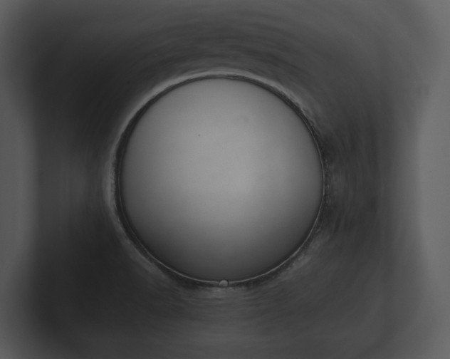 X0000103151518200808291419