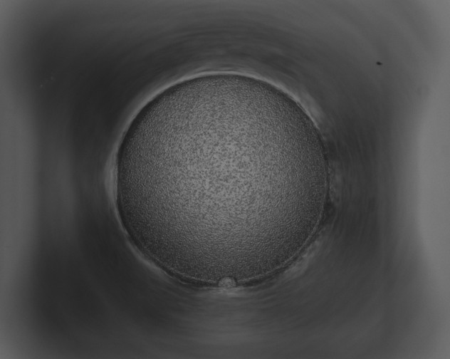 X0000103151519200808291419