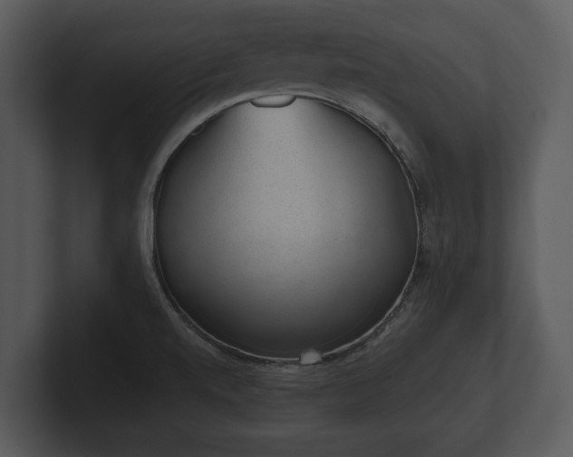 X0000103151520200808291419