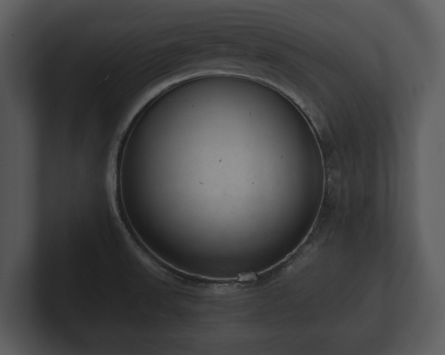 X0000103151523200808291419