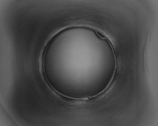 X0000103151525200808291419