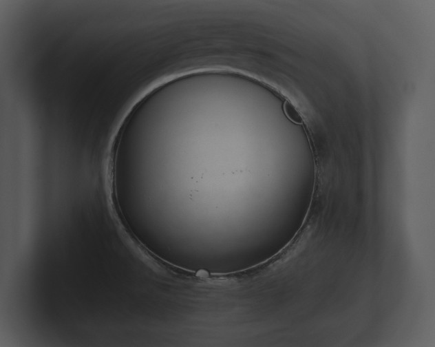 X0000103151526200808291419