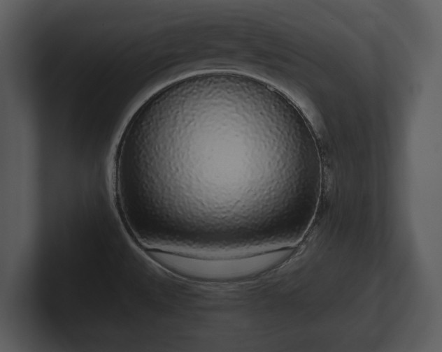 X0000103151527200808291419