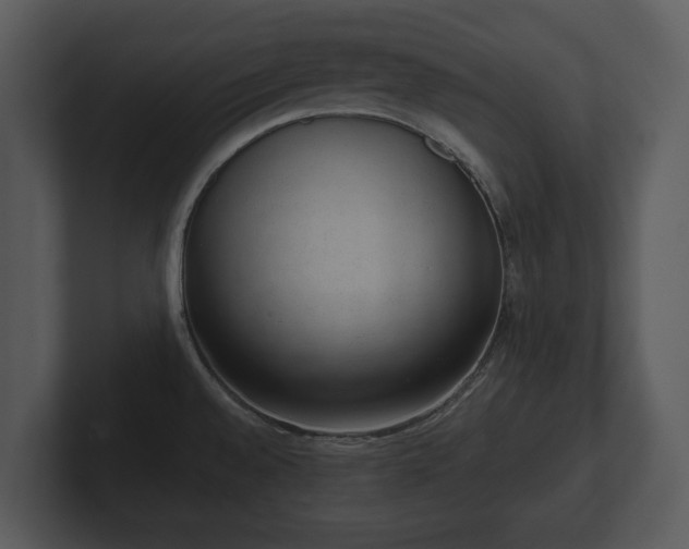 X0000103151528200808291419