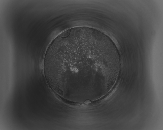 X0000103151529200808291419