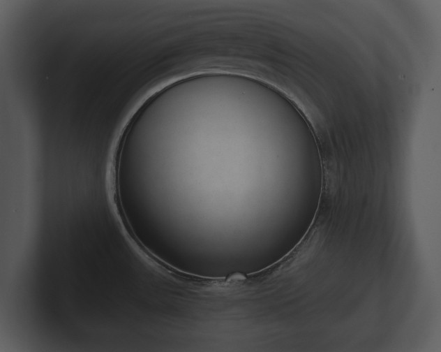 X0000103151531200808291419