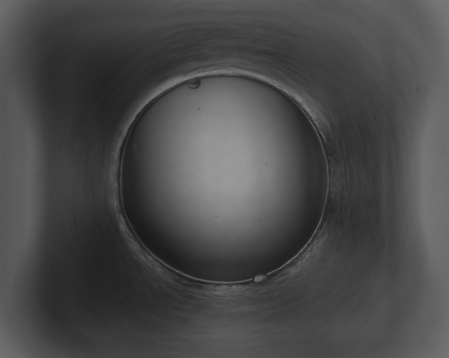 X0000103151534200808291419