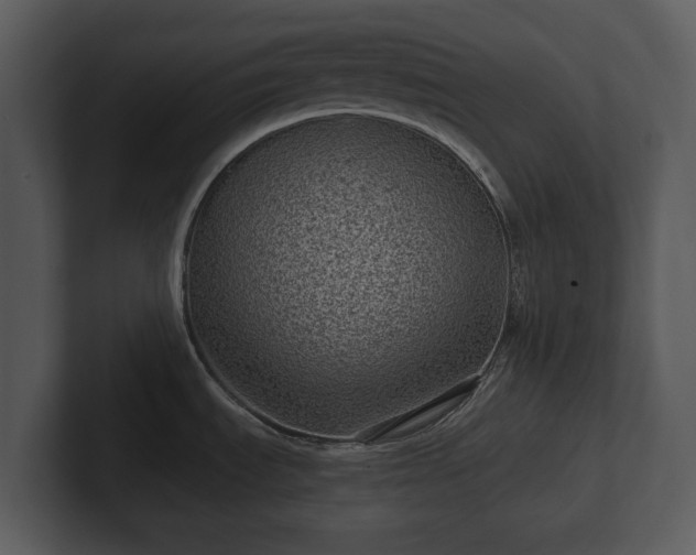 X0000103151535200808291419