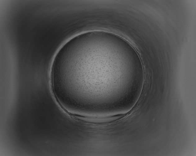 X0000103151536200808291419