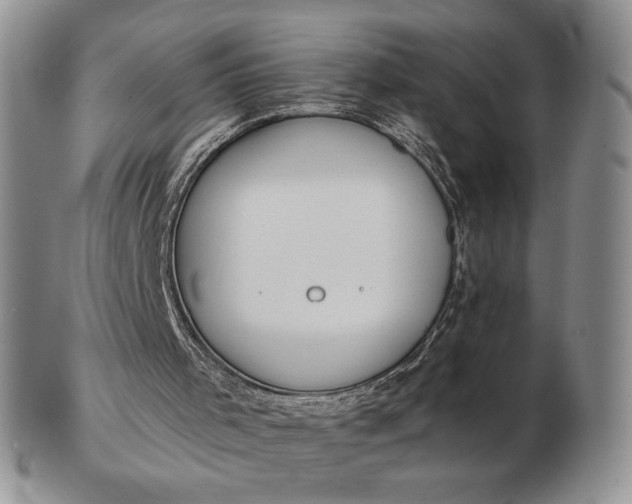 X0000103150001200809051647