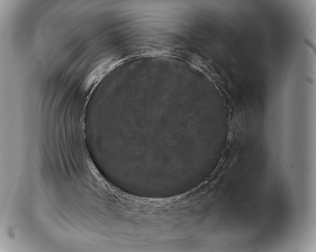 X0000103150002200809051647