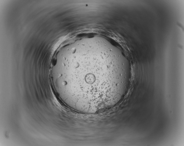 X0000103150003200809051647