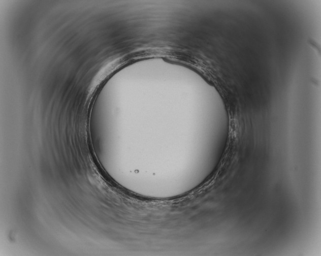 X0000103150004200809051647