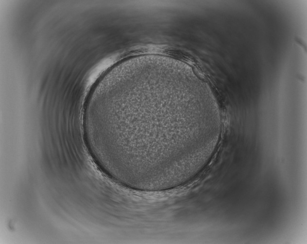 X0000103150006200809051647