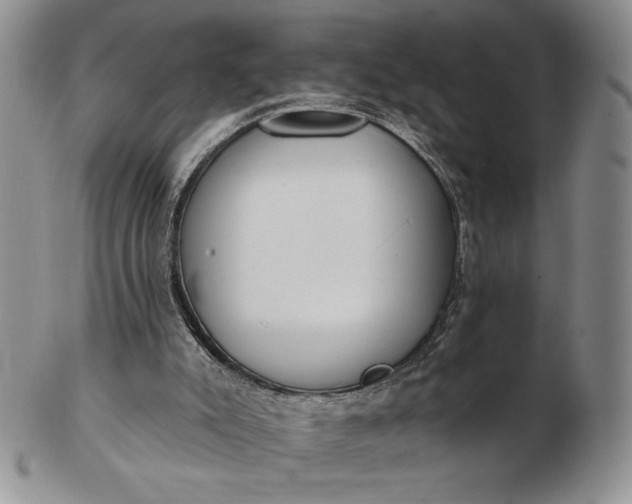 X0000103150007200809051647