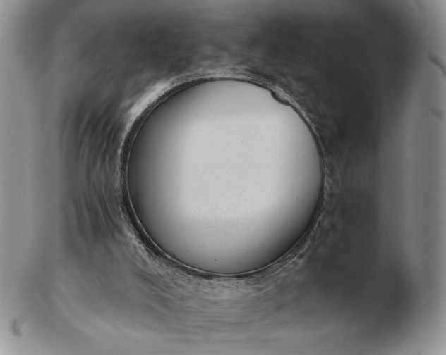 X0000103150008200809051647