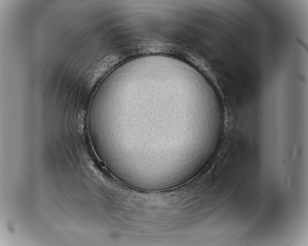 X0000103150010200809051647