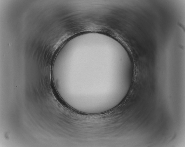 X0000103150011200809051647