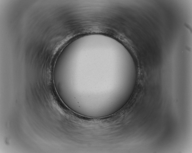 X0000103150012200809051647