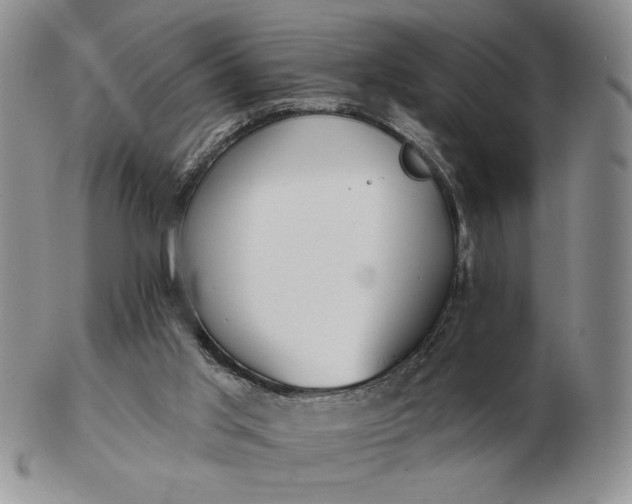 X0000103150013200809051647