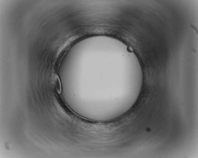 X0000103150016200809051647