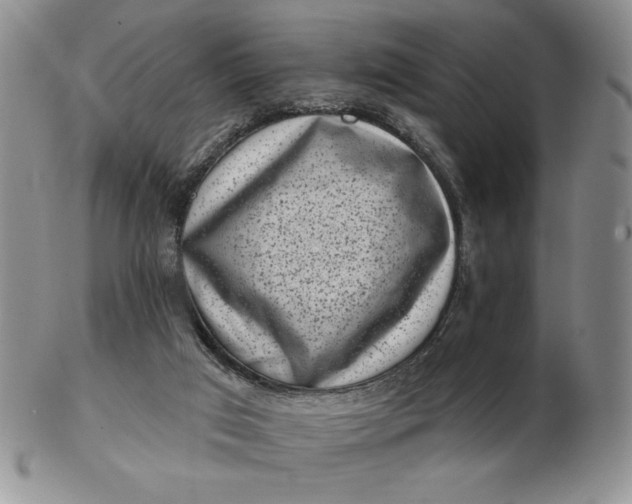 X0000103150017200809051647