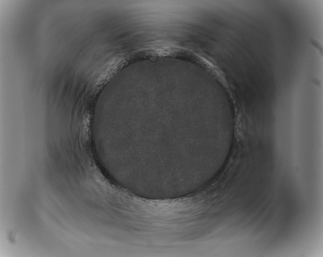 X0000103150018200809051647