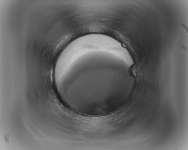 X0000103150019200809051647