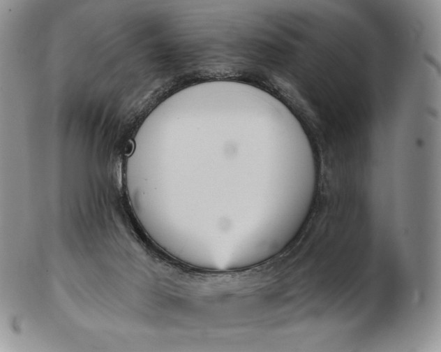 X0000103150021200809051647