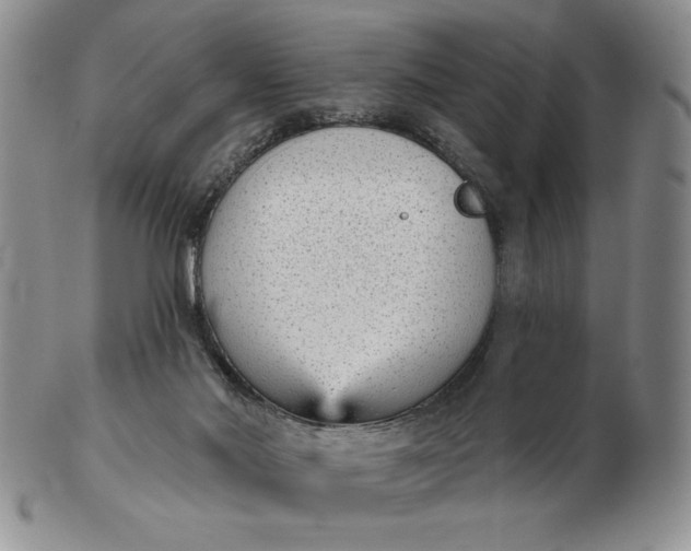 X0000103150022200809051647