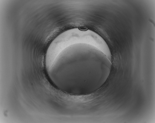 X0000103150023200809051647