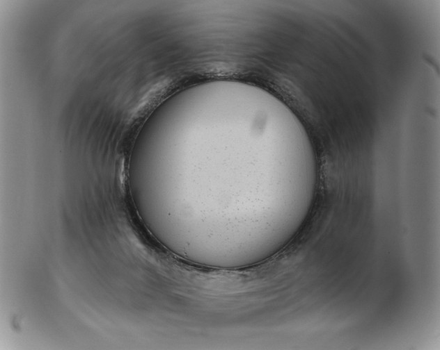 X0000103150024200809051647