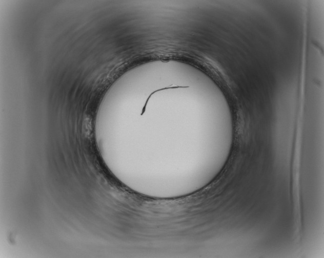 X0000103150025200809051647