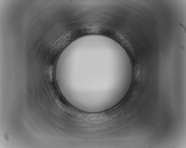 X0000103150026200809051647