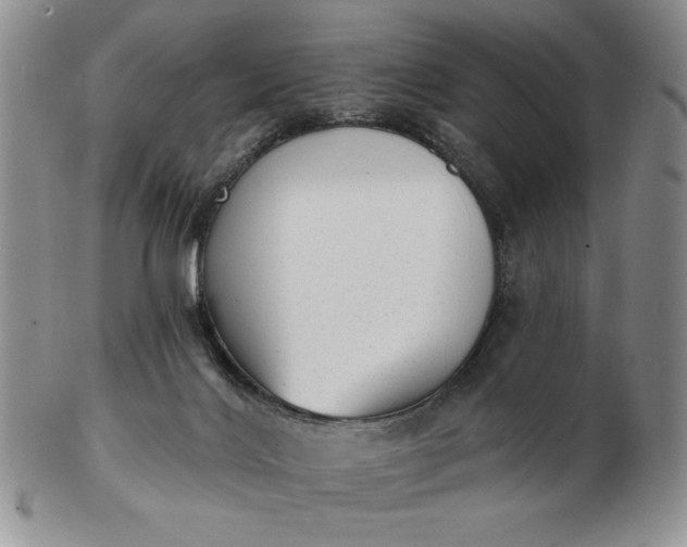 X0000103150028200809051647