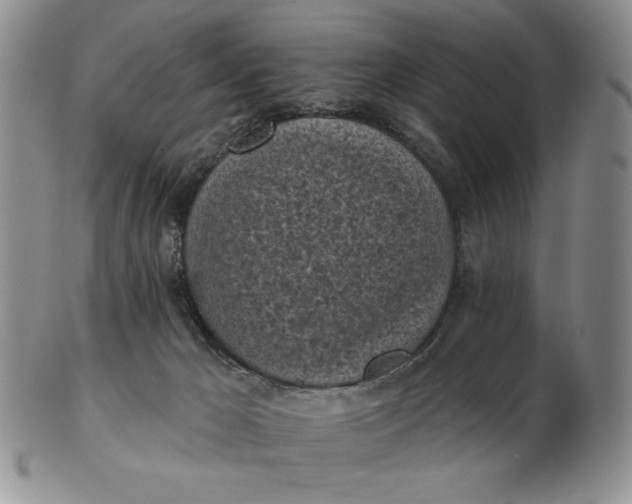 X0000103150029200809051647