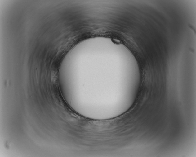 X0000103150033200809051647