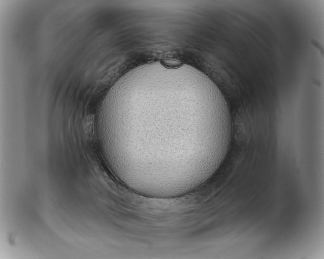 X0000103150034200809051647