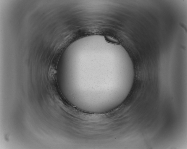 X0000103150036200809051647