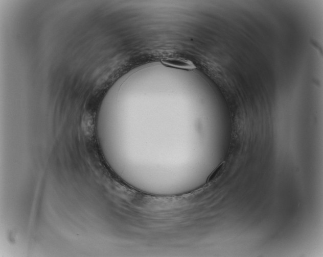 X0000103150037200809051647