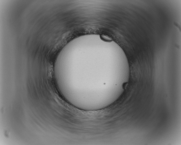 X0000103150038200809051647