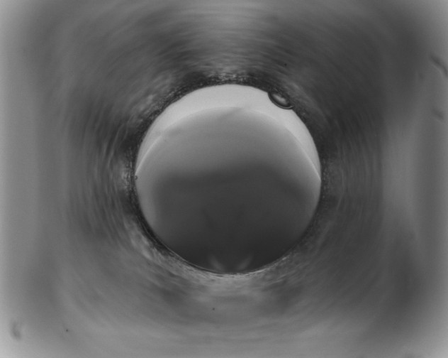 X0000103150039200809051647