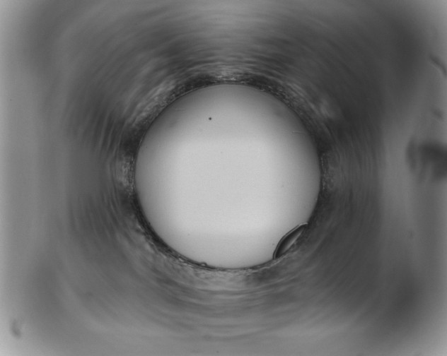 X0000103150044200809051647