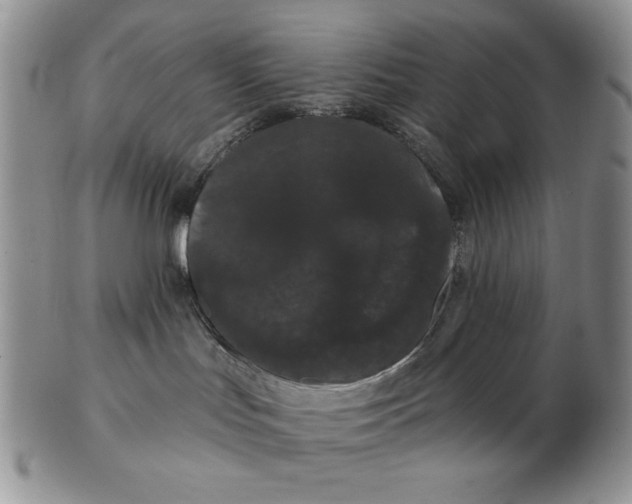 X0000103150047200809051647