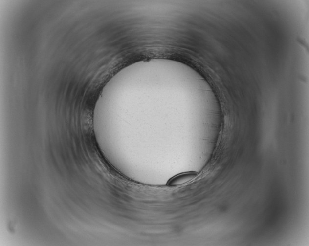 X0000103150048200809051647