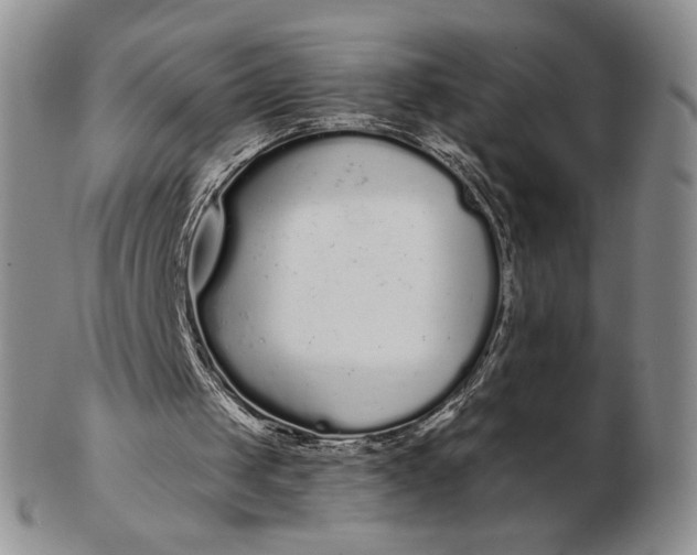 X0000103150049200809051646