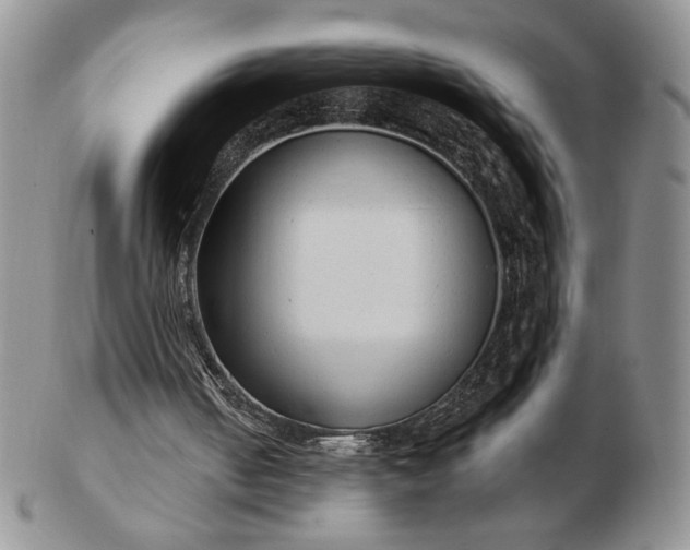 X0000103150050200809051646