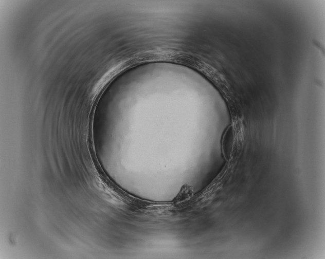 X0000103150051200809051646